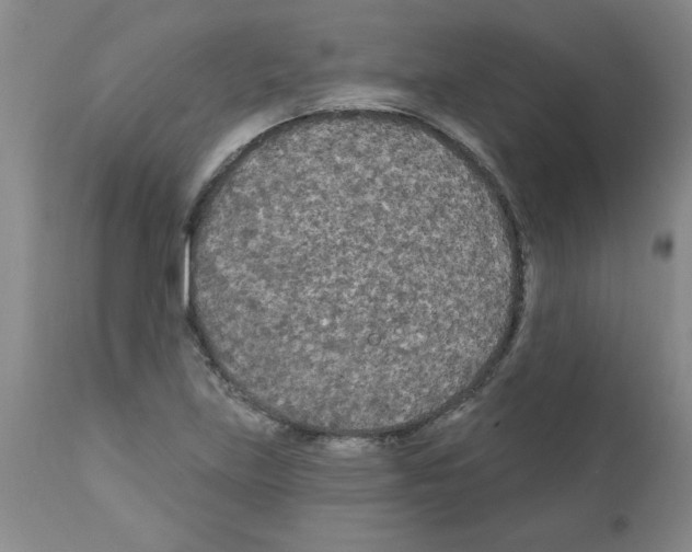 X0000111671219200908281103