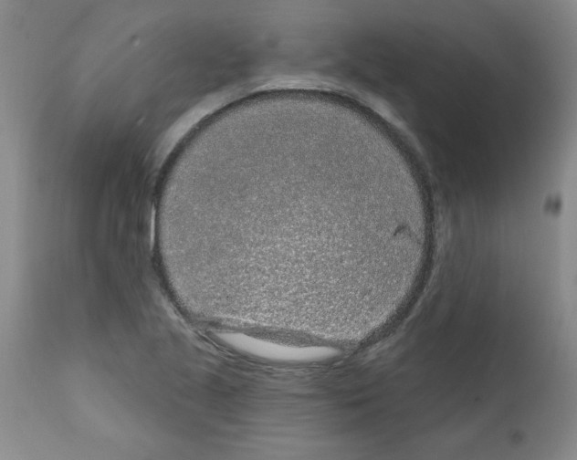 X0000111671221200908281103