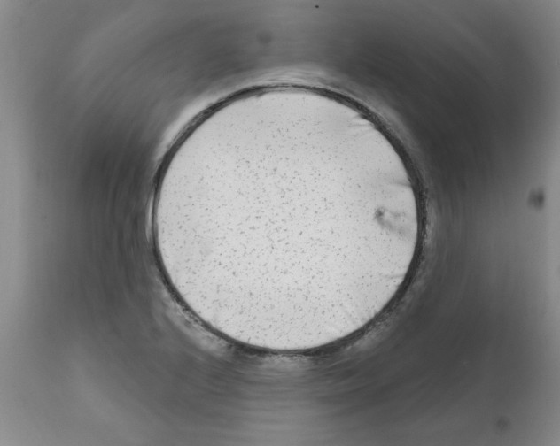 X0000111671224200908281103