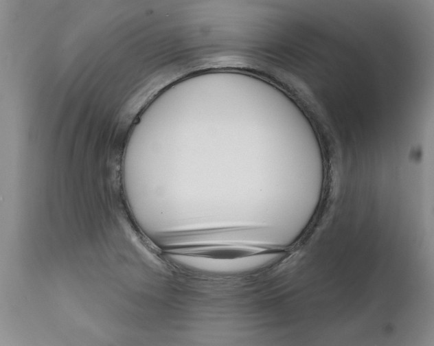 X0000111671225200908281103