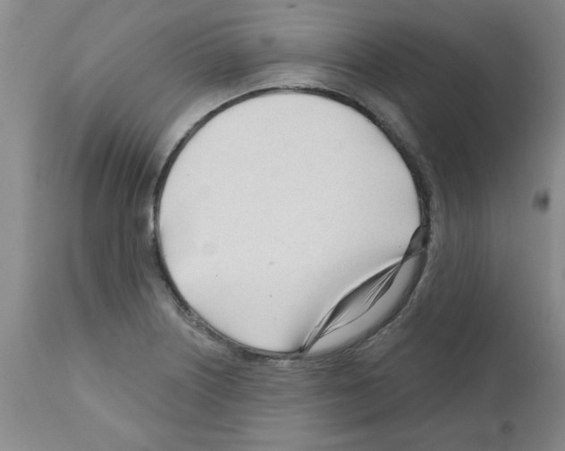 X0000111671226200908281103