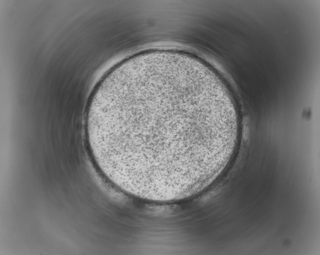 X0000111671229200908281103