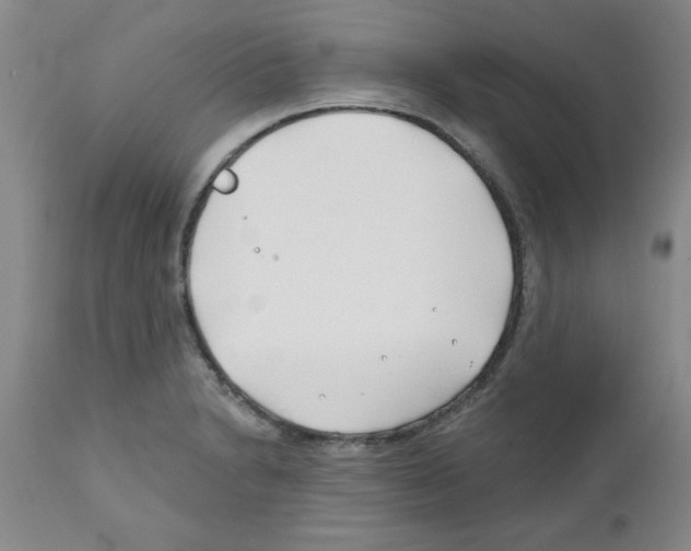 X0000111671230200908281103