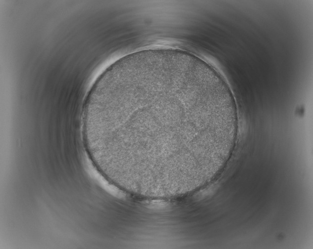 X0000111671235200908281103