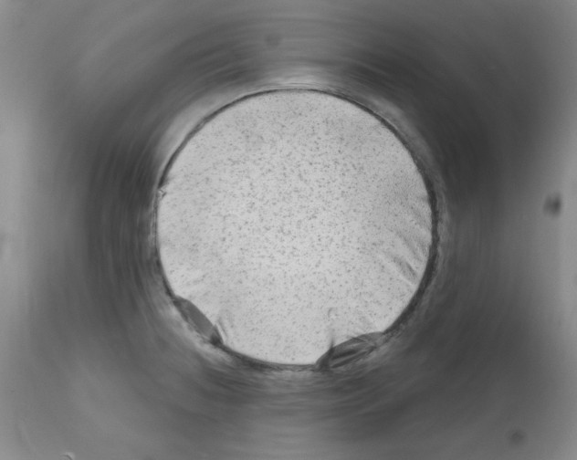 X0000111671236200908281103