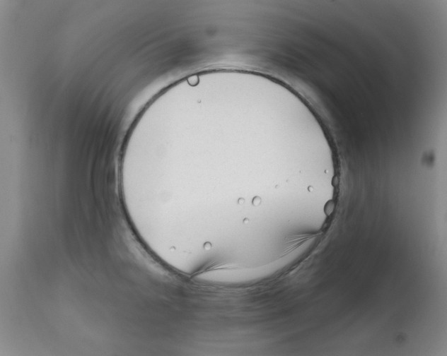 X0000111671238200908281103