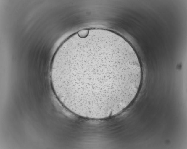 X0000111671240200908281103