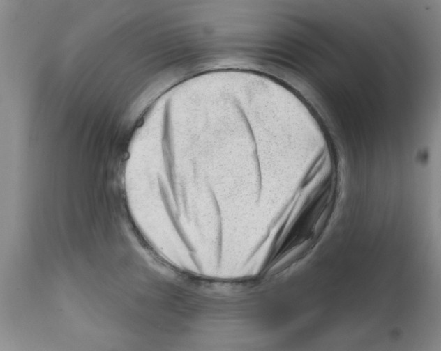 X0000111671241200908281103