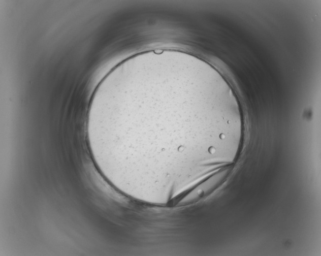 X0000111671244200908281103