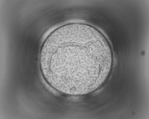 X0000111671245200908281103