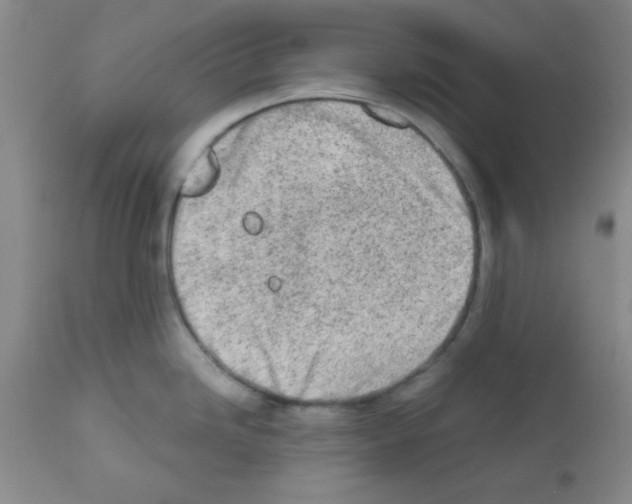 X0000111671246200908281103