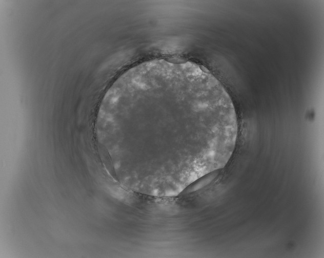 X0000111671249200908281103