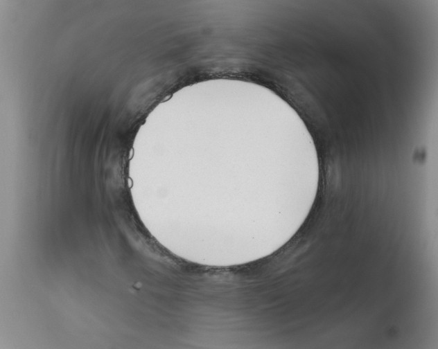 X0000111671250200908281103