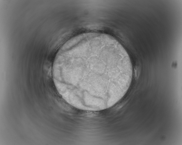 X0000111671251200908281103