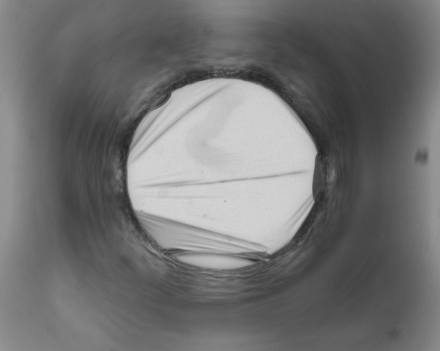 X0000111671252200908281103