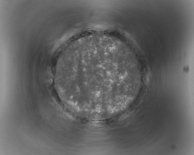 X0000111671253200908281103