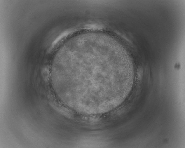 X0000111671254200908281103