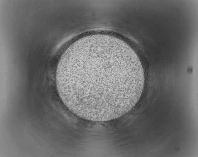 X0000111671255200908281103