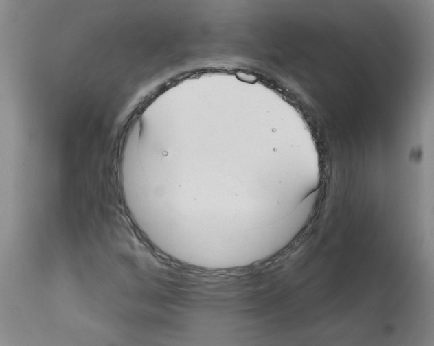 X0000111671256200908281103