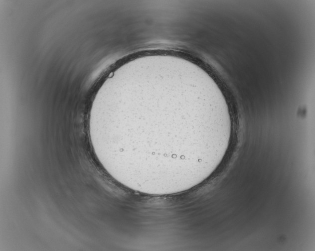 X0000111671259200908281102