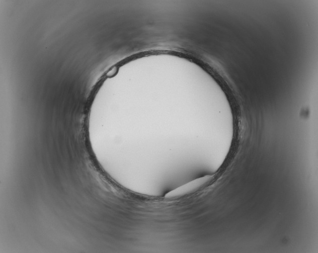 X0000111671260200908281102