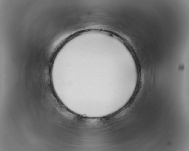 X0000111671263200908281102