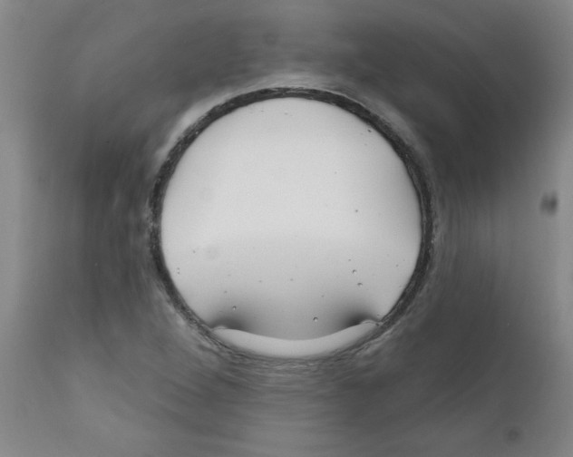 X0000111671264200908281102