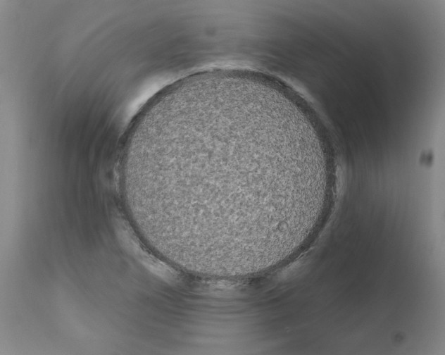 X0000111671266200908281102