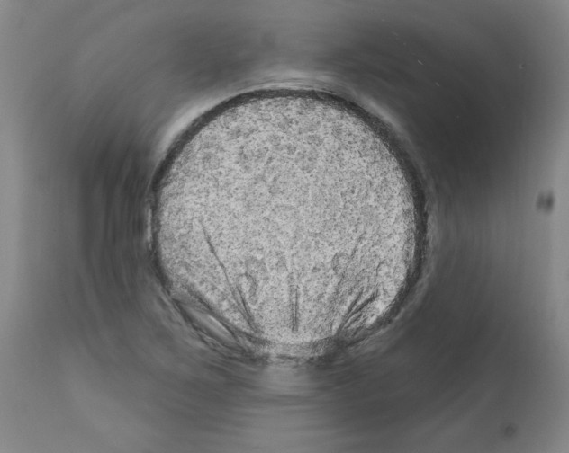 X0000111671267200908281102