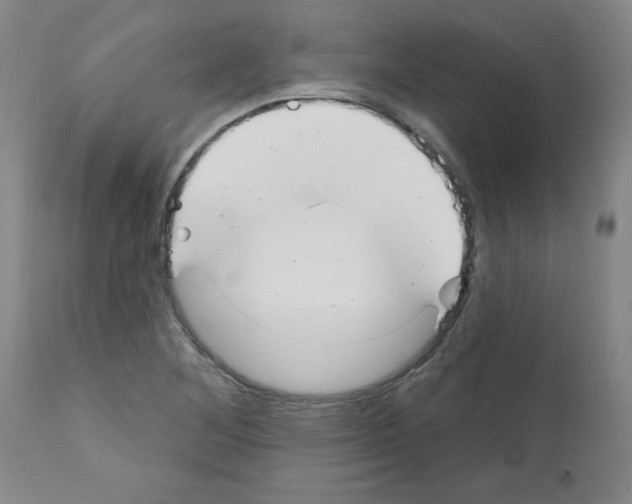 X0000111671268200908281102