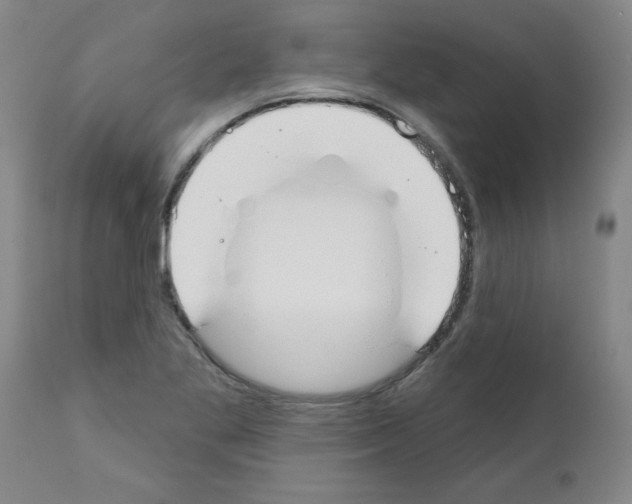 X0000111671269200908281102