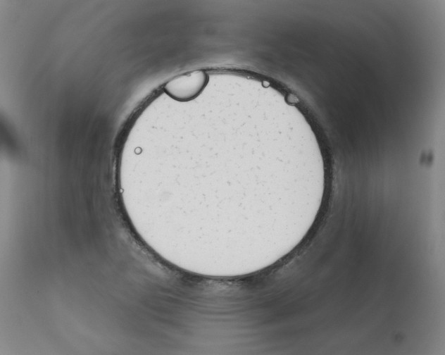 X0000111671270200908281102