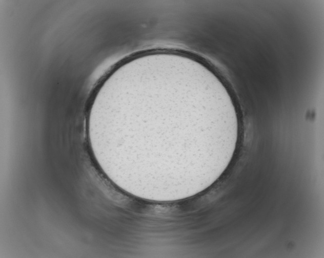 X0000111671271200908281102