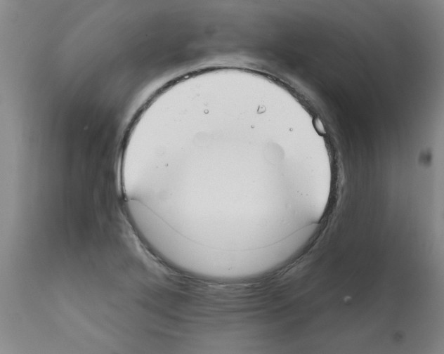 X0000111671272200908281102