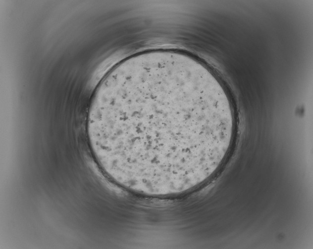 X0000111671273200908281102