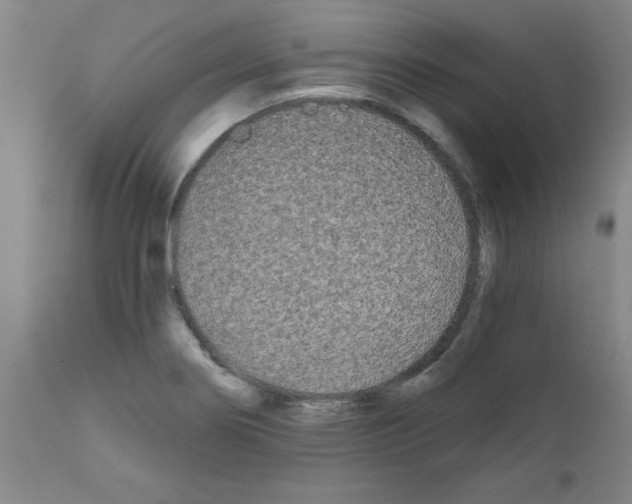 X0000111671274200908281102