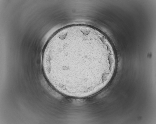 X0000111671275200908281102