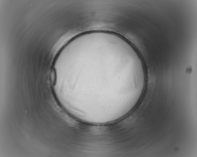 X0000111671277200908281102