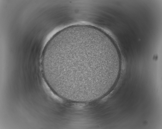 X0000111671278200908281102