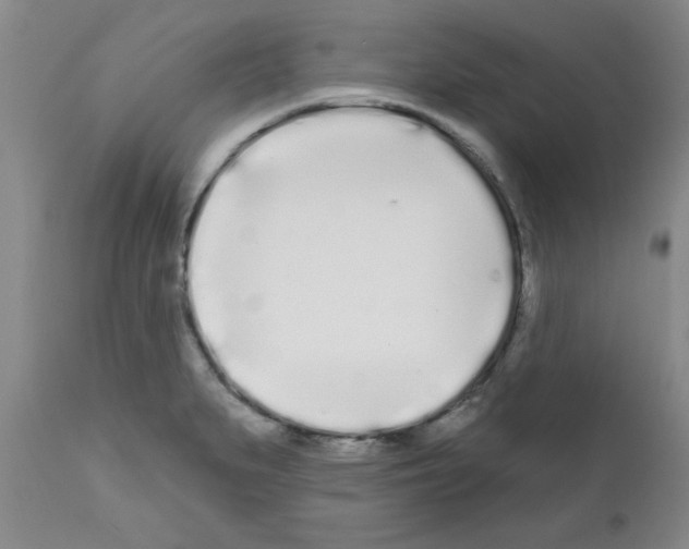 X0000111671279200908281102