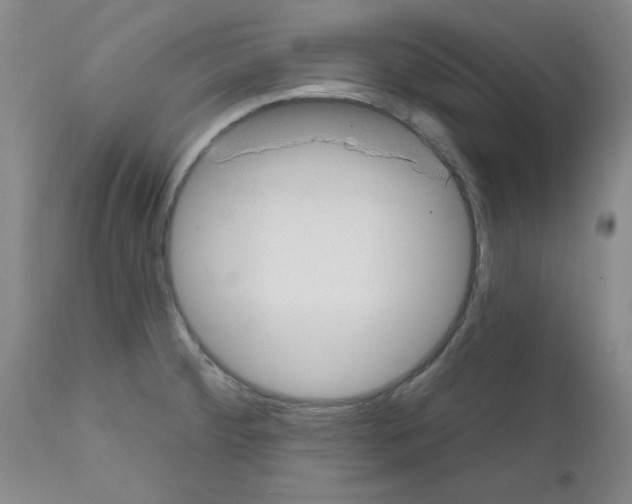 X0000111671284200908281102