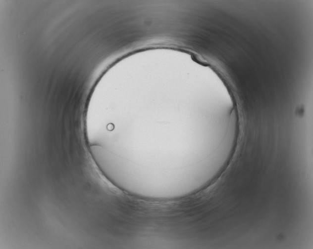 X0000111671288200908281102