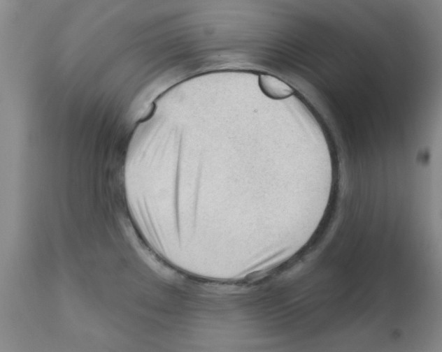 X0000111671289200908281102