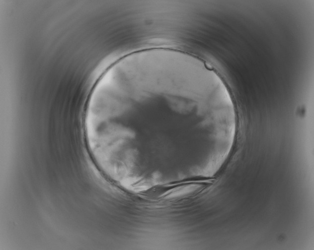 X0000111671291200908281102