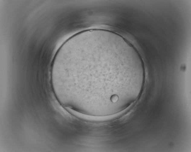 X0000111671292200908281102