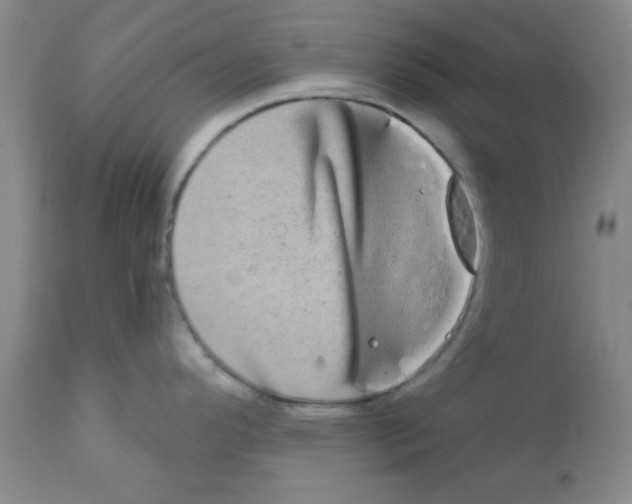 X0000111671296200908281102