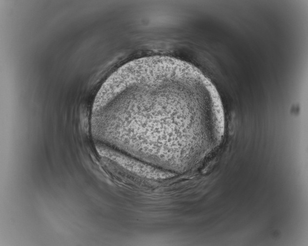 X0000111671298200908281101