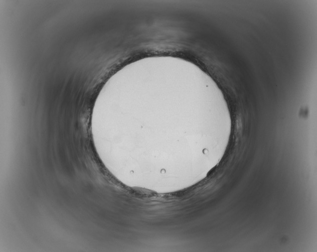 X0000111671300200908281101