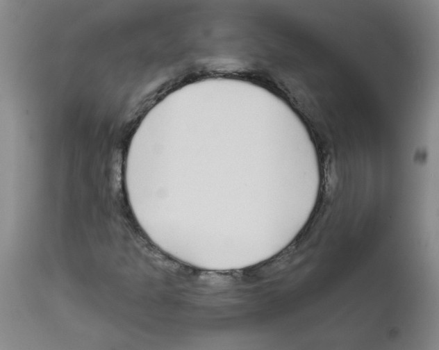 X0000111671301200908281101