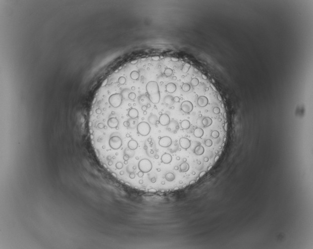 X0000111671302200908281101